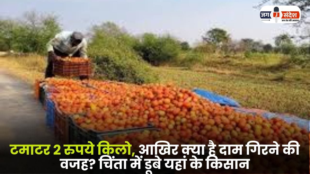 Tomato is 2 rupees Kilo
