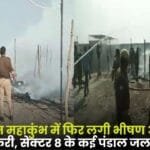Huge Fire Broke in Prayagraj Maha Kumbh