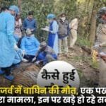 Death of tigress in Kanha Tiger Reserve