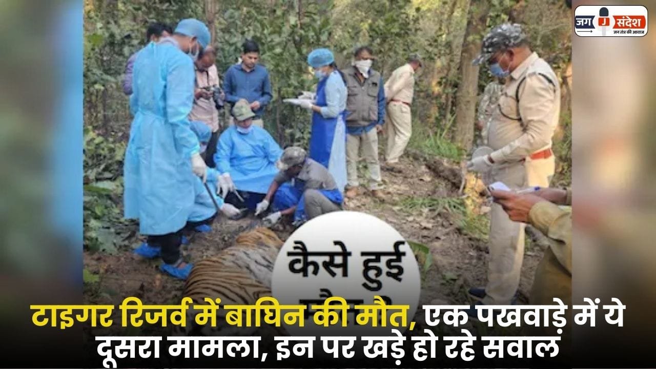 Death of tigress in Kanha Tiger Reserve