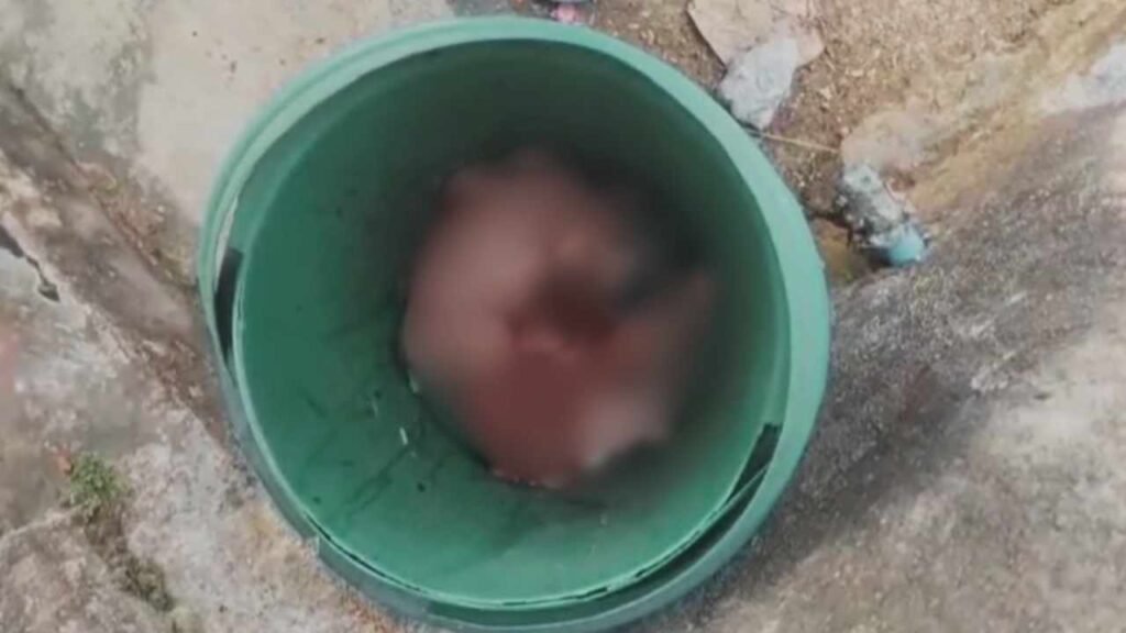 अंबिकापुर बौरीपारा में नवजात का शव मिलने से सनसनी, पुलिस जांच में जुटी: Abandonment of Newborn in Ambikapur 1 Abandonment of Newborn in Ambikapur