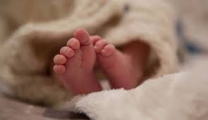 8वीं की नाबालिग छात्रा ने बच्चे को दिया जन्म, जांच में जुटी पुलिस, छात्रा को अस्पताल में किया गया भर्ती : Class 8 Student Birth Child 2 image 313