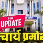 Chhattisgarh Principal Promotion Process