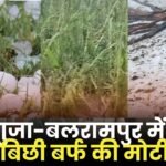 Hail Fell in Surguja-Balrampur