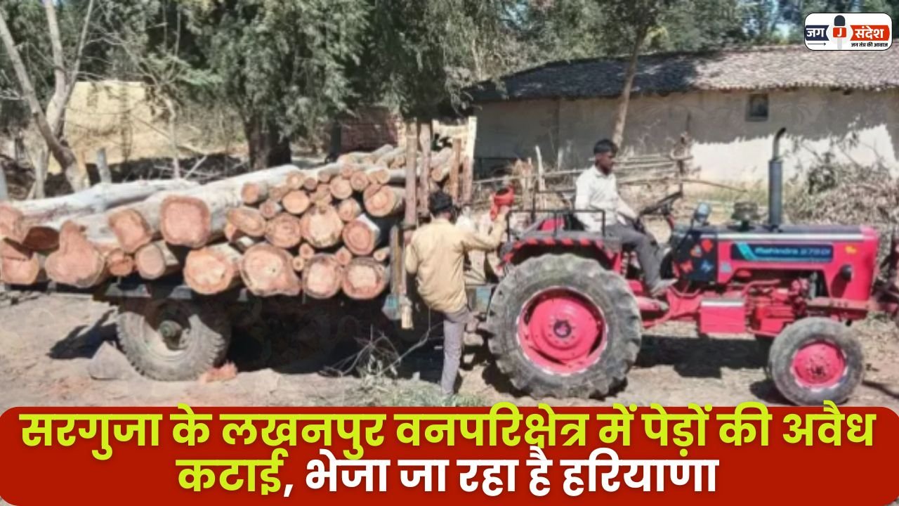 Lakhanpur forest Range of Sarguja