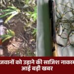 Plot to kill soldiers with beer bombs fails