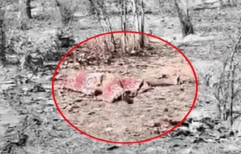 Girl Found Dead in Surajpur Forest, Police Suspect Rape and Murder