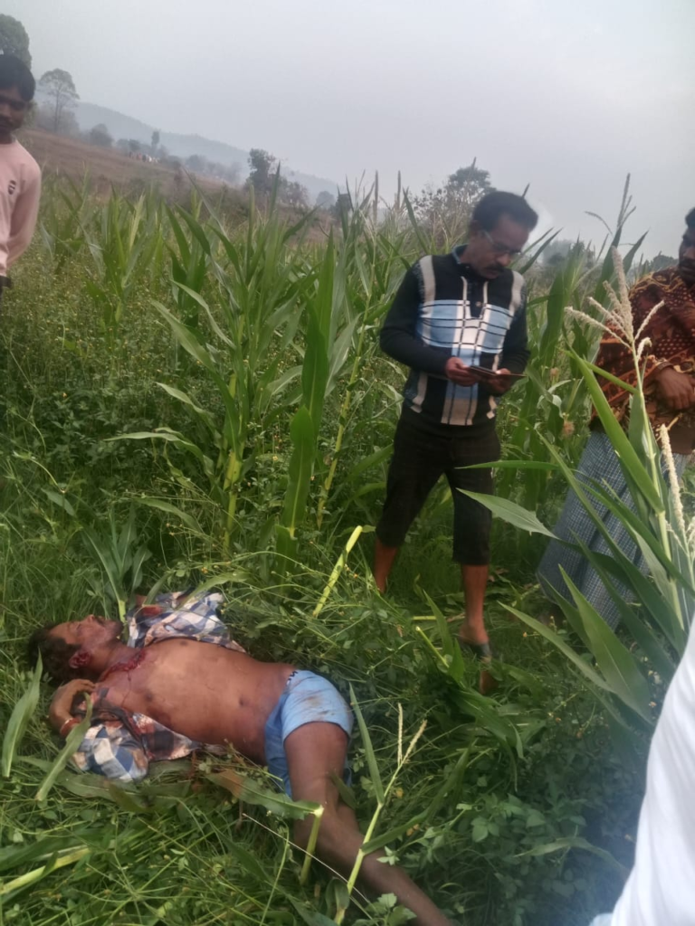 बलरामपुर में हाथी के हमले से युवक की मौत, चार दिन में चौथी मौत : Died Due to Elephant Attack 2 image 35