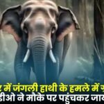 Wild Elephant Attack in Balrampur