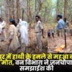 Died Due to Elephant Attack