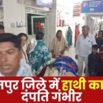 Elephant Attack in Balrampur