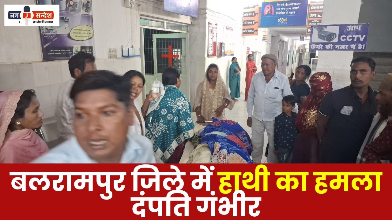 Elephant Attack in Balrampur