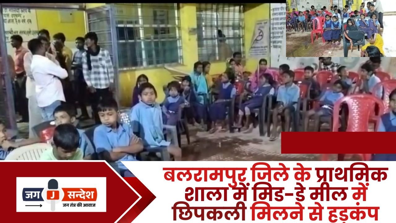 Lizard Found in Mid-Day Meal