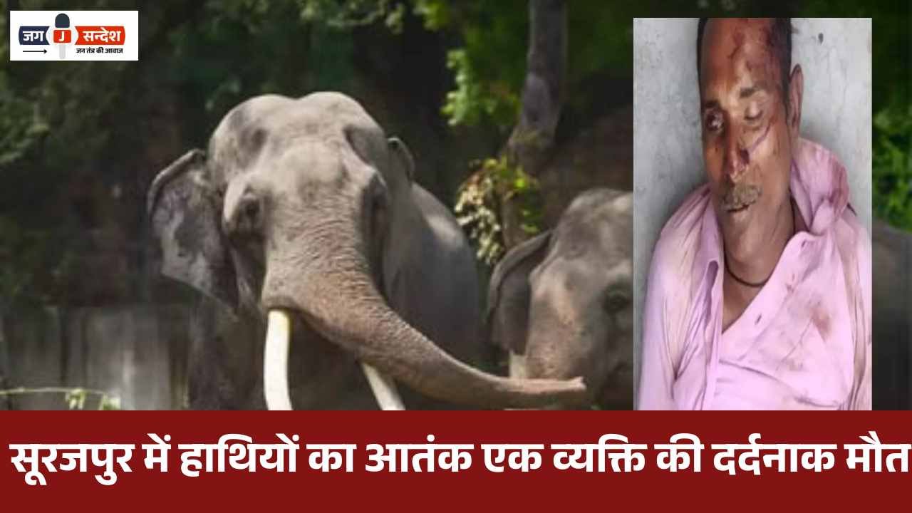 Man dies after being crushed by elephant