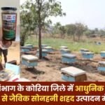 Organic Honey Production