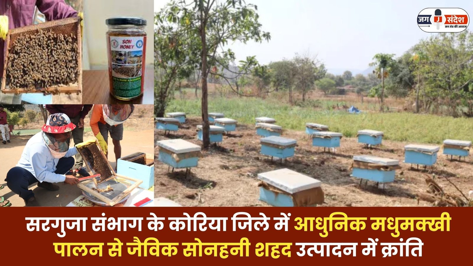 Organic Honey Production