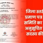 District Level Caste Certificate Verification Committee