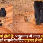 A Mother is a Mother After All