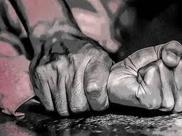 बीजापुर के सहायक आयुक्त डॉ. आनंदजी सिंह पर महिला का आरोप—शारीरिक शोषण, ब्लैकमेलिंग और गर्भपात के लिए मजबूर करने का मामला : Physical Abuse And Blackmailing 4 image 438