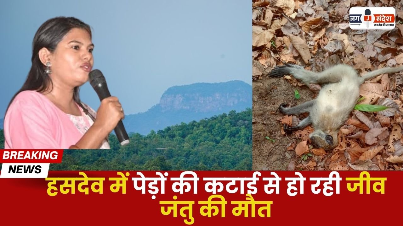 Cutting of Trees in Hasdeo