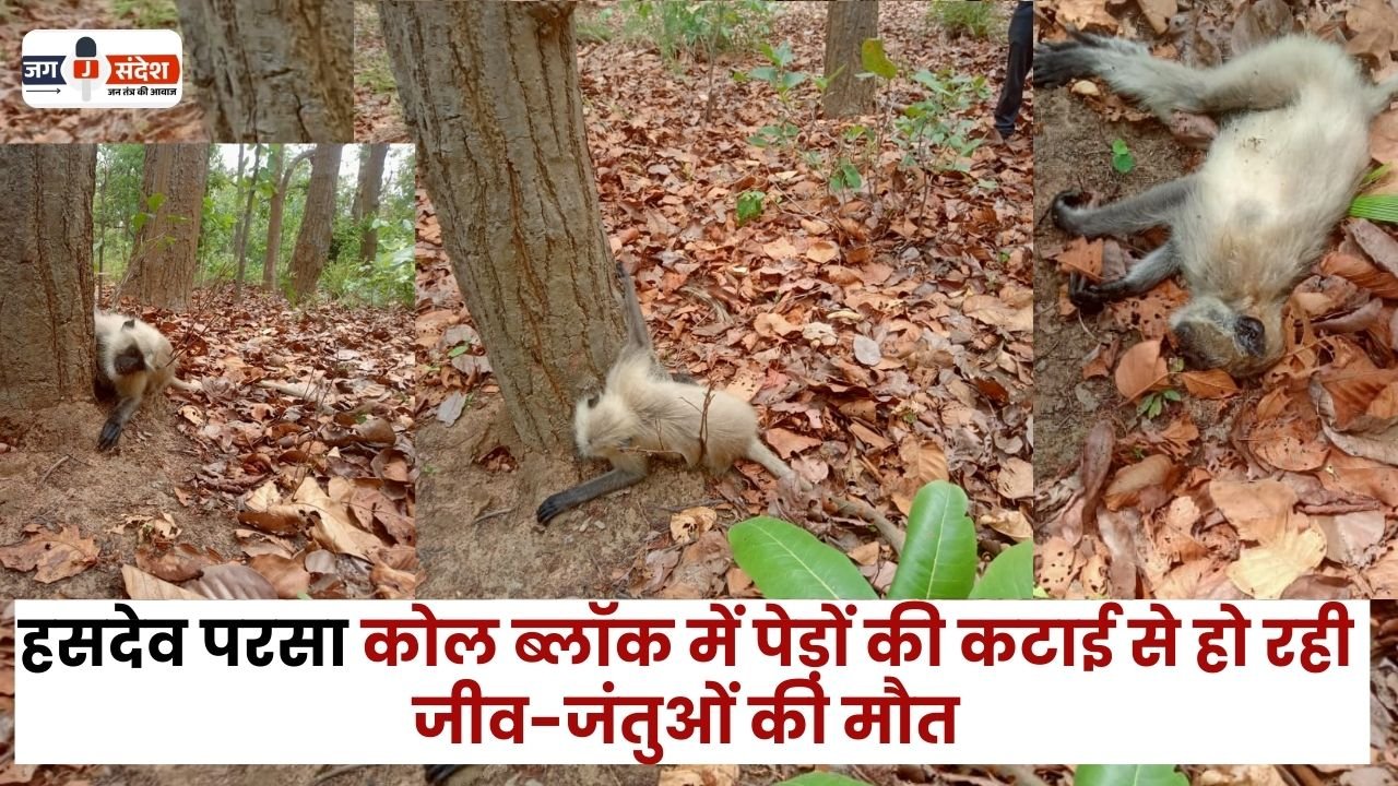 Death of Animals