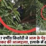 17-Year-Old Girl Commits Suicide