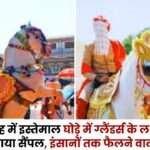 Signs of Glanders in the Horse