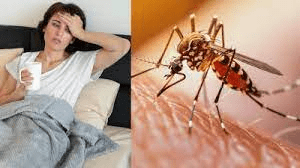जगदलपुर में मानसून से पहले ही डेंगू का प्रकोप, 40 से ज्यादा मरीज मिले : Dengue Outbreak Before Monsoon 3 image 601