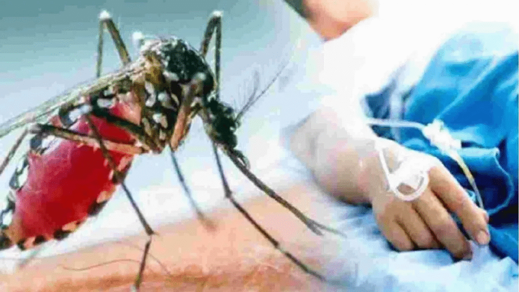 जगदलपुर में मानसून से पहले ही डेंगू का प्रकोप, 40 से ज्यादा मरीज मिले : Dengue Outbreak Before Monsoon 2 image 602