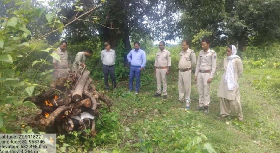 उदयपुर वनमंडल में सांप के काटने से मादा भालू शावक की मौत, वन विभाग ने किया अंतिम संस्कार : Female Bear Cub Died due to Snake Bite 1 Screenshot 2025 07 03 15 22 43 88 40deb401b9ffe8e1df2f1cc5ba480b12