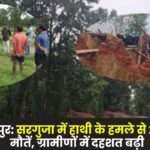 3 Deaths in 2 Days due to Elephant Attack in Surguja