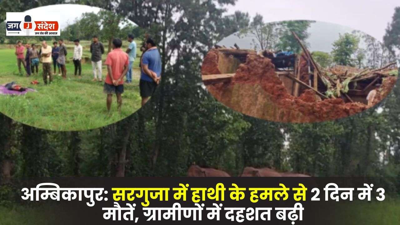 3 Deaths in 2 Days due to Elephant Attack in Surguja