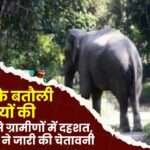 Presence of Elephants in Batauli