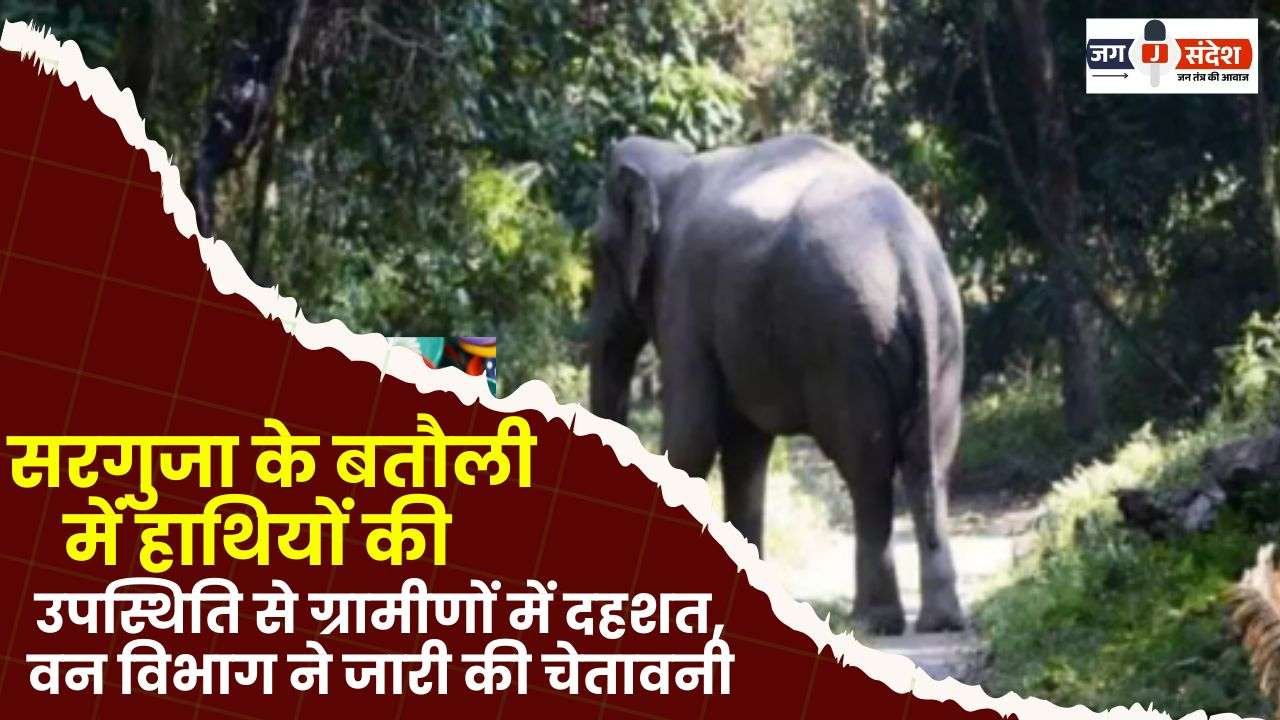 Presence of Elephants in Batauli