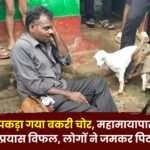 Goat Thief Caught While Giving Biscuits in Ambikapur