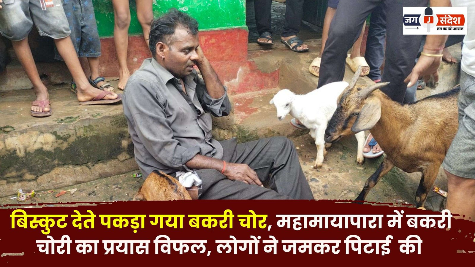 Goat Thief Caught While Giving Biscuits in Ambikapur