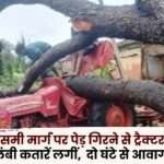 Tractor Damaged due to Falling of Tree on Rajpur-Kusmi Road