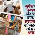 Gauthan Scheme Stalled in BJP GOVT