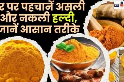 Identify Real and Fake Turmeric at Home
