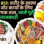 Vitamin B12 Essential Nutrient
