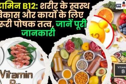 Vitamin B12 Essential Nutrient