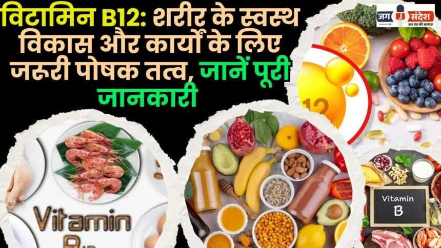 Vitamin B12 Essential Nutrient