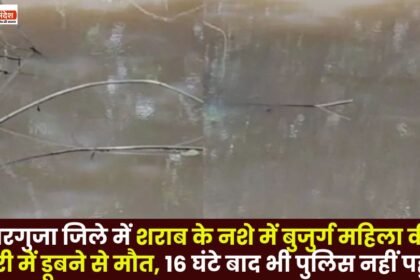 Elderly Woman Died After Drowning in a Pond In Surguja