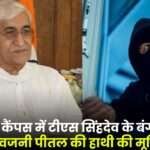 15 kg Brass Elephant Statue was Stolen from TS Singhdev's Bungalow