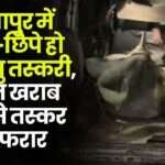 Animal Smuggling is Going on Secretly in Sitapur