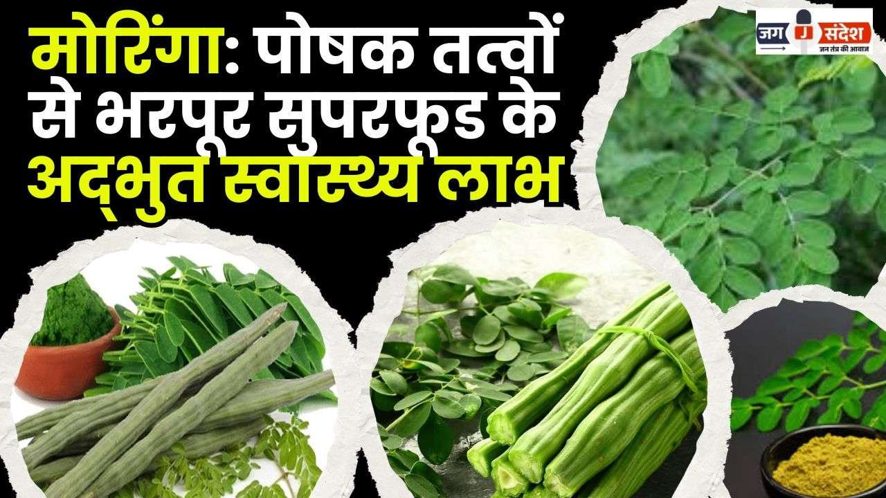 Moringa Amazing Health Benefits of a Nutrient-Rich Superfood