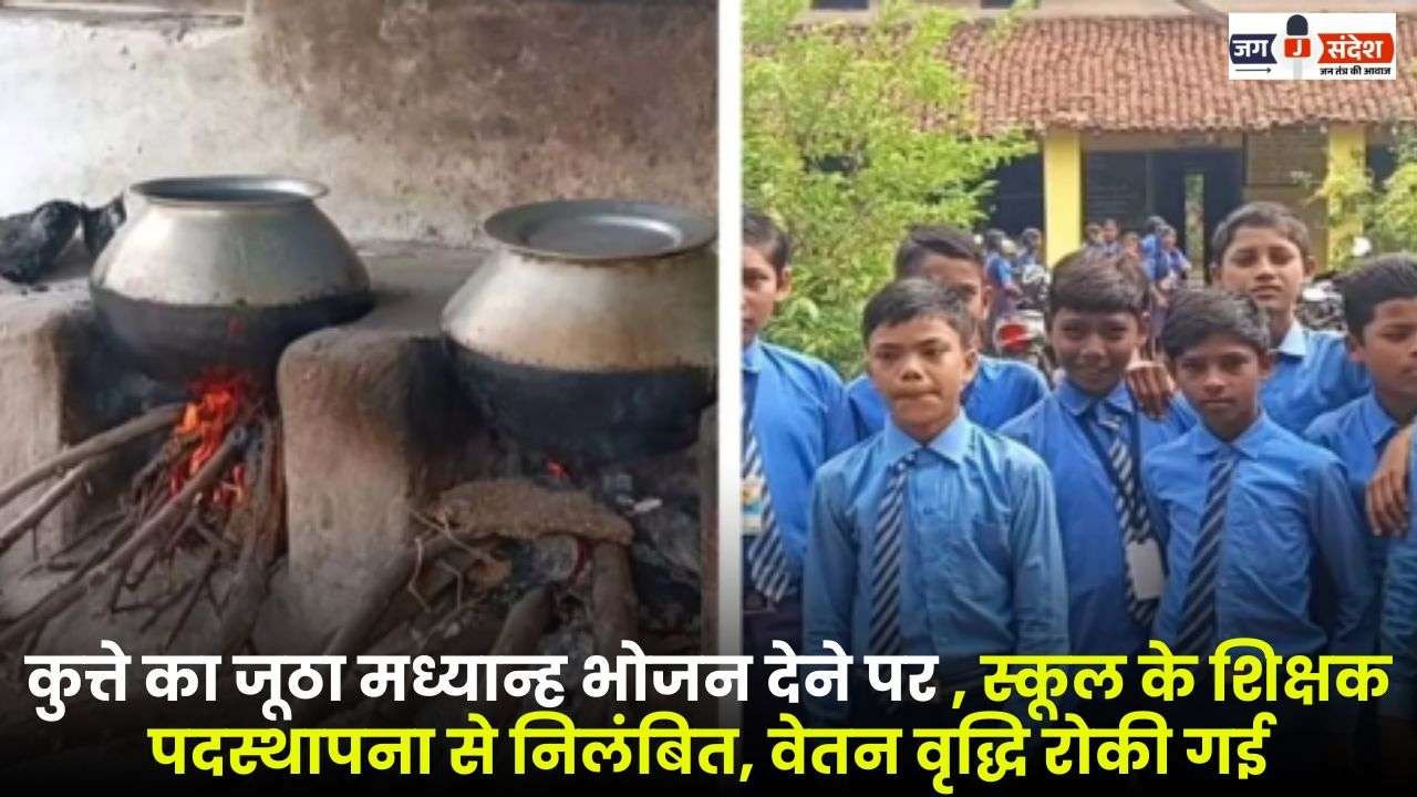 For Serving Dog's Leftover Mid-Day Meal in Balodabazar