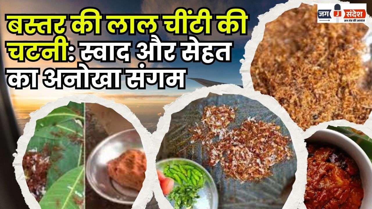 Red Ant Chutney of Bastar A Unique Combination of Taste and Health