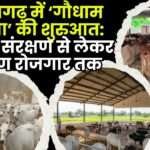 'Gau Dham Yojana' Launched in Chhattisgarh