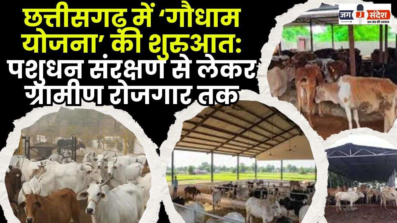 'Gau Dham Yojana' Launched in Chhattisgarh